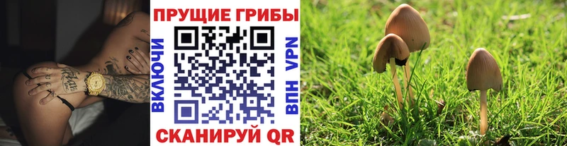 кракен вход  даркнет сайт  Рыбинск  Галлюциногенные грибы Psilocybe 
